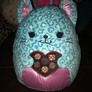 Caitroina the cat squishmallow